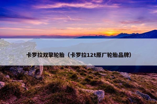 卡罗拉双擎轮胎（卡罗拉12t原厂轮胎品牌）