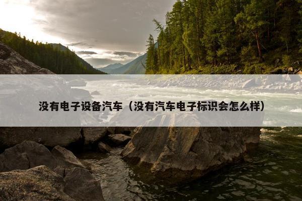 没有电子设备汽车（没有汽车电子标识会怎么样）