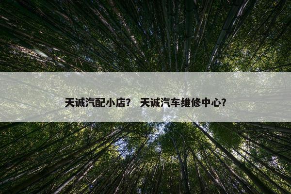 天诚汽配小店？ 天诚汽车维修中心？