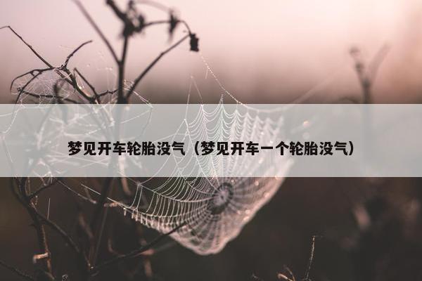 梦见开车轮胎没气（梦见开车一个轮胎没气）