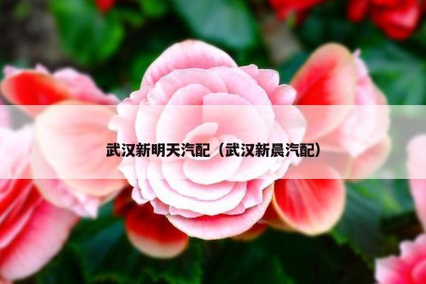 武汉新明天汽配（武汉新晨汽配）