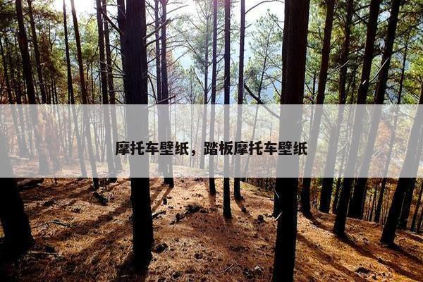 摩托车壁纸，踏板摩托车壁纸