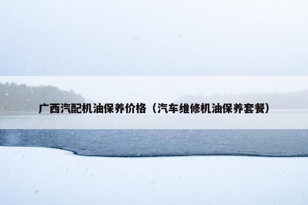 广西汽配机油保养价格（汽车维修机油保养套餐）