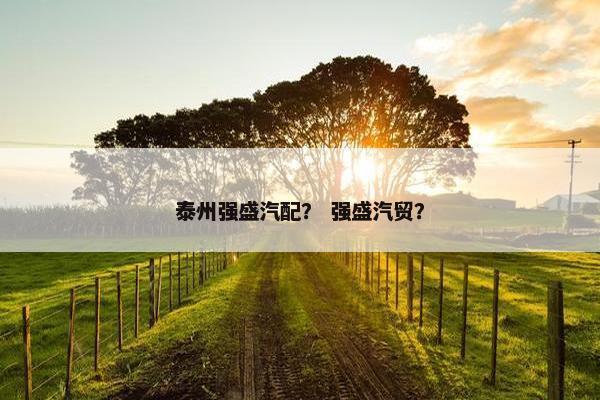 泰州强盛汽配？ 强盛汽贸？