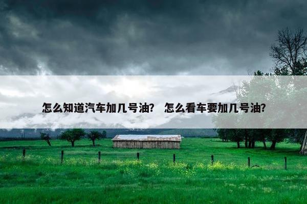怎么知道汽车加几号油？ 怎么看车要加几号油？