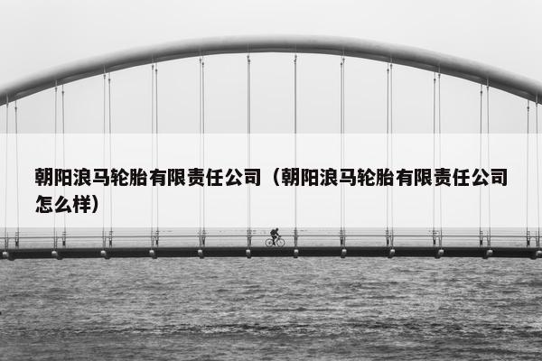 朝阳浪马轮胎有限责任公司（朝阳浪马轮胎有限责任公司怎么样）