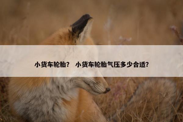 小货车轮胎？ 小货车轮胎气压多少合适？