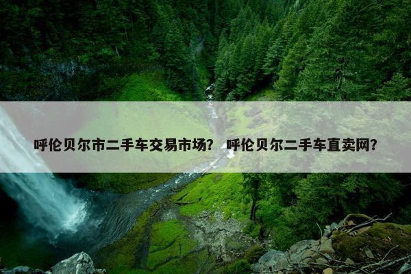 呼伦贝尔市二手车交易市场？ 呼伦贝尔二手车直卖网？