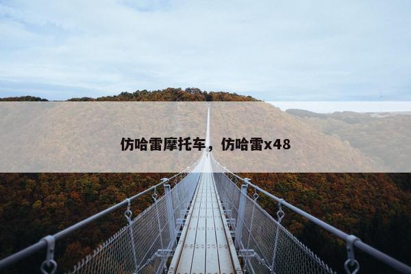 仿哈雷摩托车，仿哈雷x48
