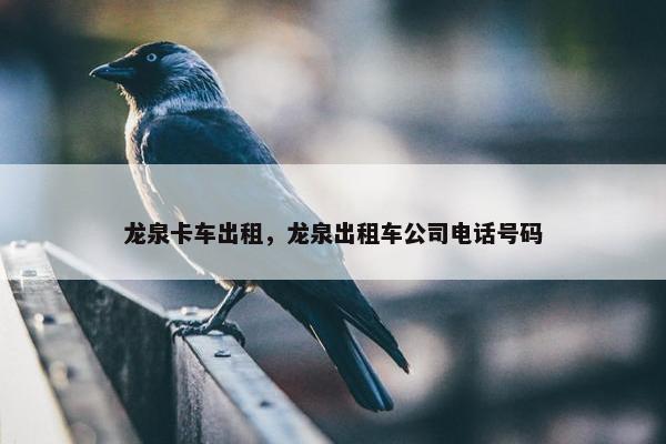 龙泉卡车出租，龙泉出租车公司电话号码