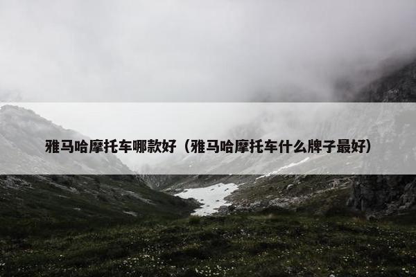 雅马哈摩托车哪款好（雅马哈摩托车什么牌子最好）