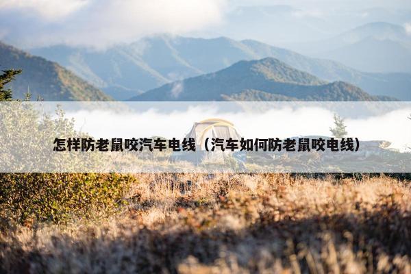 怎样防老鼠咬汽车电线（汽车如何防老鼠咬电线）