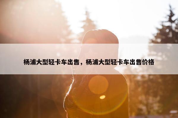 杨浦大型轻卡车出售，杨浦大型轻卡车出售价格