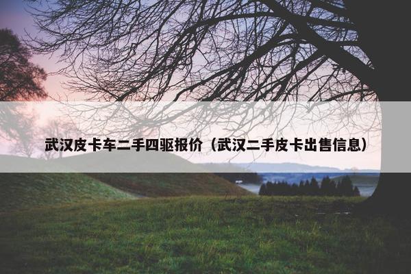 武汉皮卡车二手四驱报价（武汉二手皮卡出售信息）