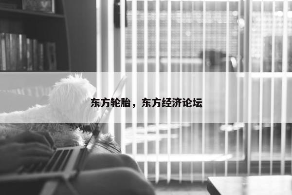东方轮胎，东方经济论坛