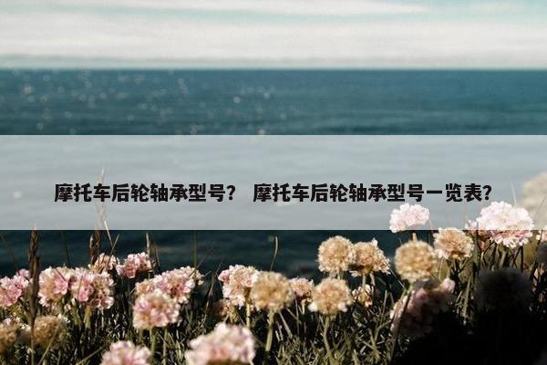摩托车后轮轴承型号？ 摩托车后轮轴承型号一览表？