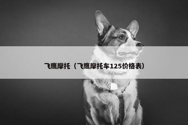 飞鹰摩托（飞鹰摩托车125价格表）