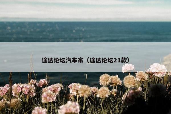 途达论坛汽车家（途达论坛21款）