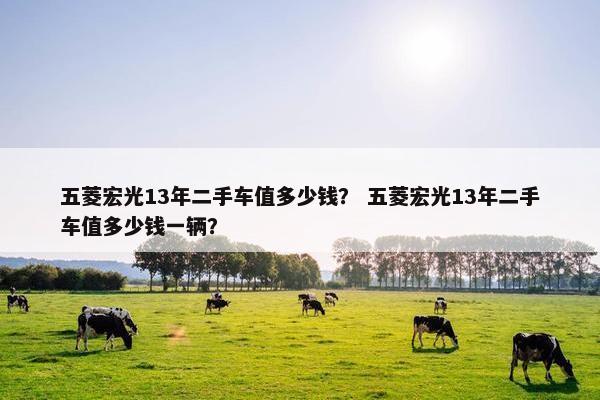 五菱宏光13年二手车值多少钱？ 五菱宏光13年二手车值多少钱一辆？