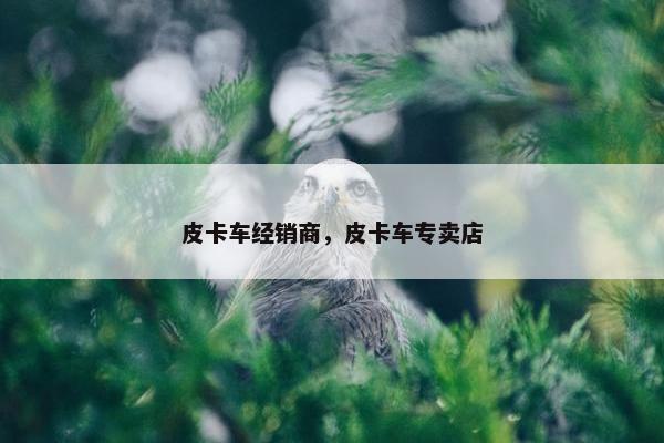 皮卡车经销商，皮卡车专卖店