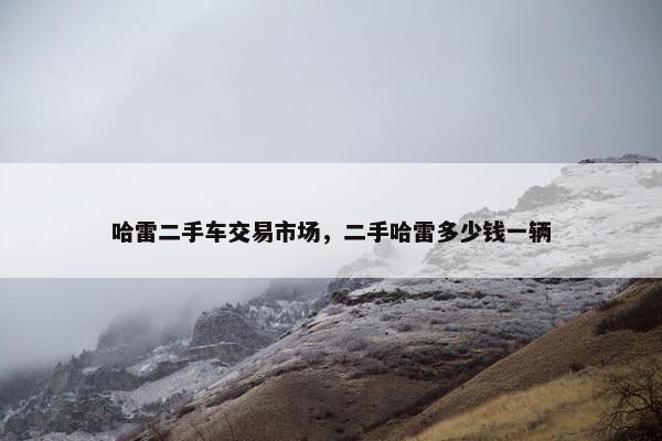 哈雷二手车交易市场，二手哈雷多少钱一辆