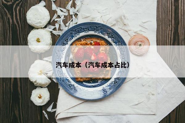 汽车成本（汽车成本占比）