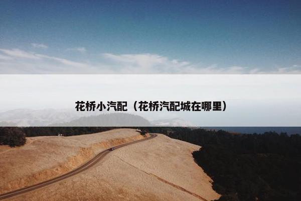 花桥小汽配（花桥汽配城在哪里）