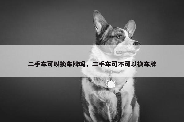 二手车可以换车牌吗，二手车可不可以换车牌