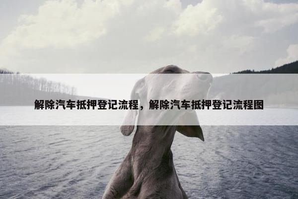 解除汽车抵押登记流程，解除汽车抵押登记流程图