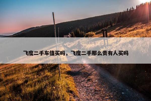 飞度二手车值买吗，飞度二手那么贵有人买吗