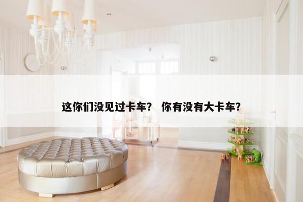 这你们没见过卡车？ 你有没有大卡车？