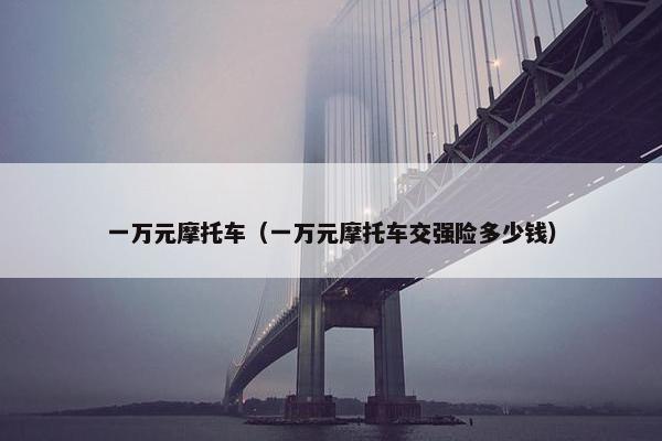一万元摩托车（一万元摩托车交强险多少钱）