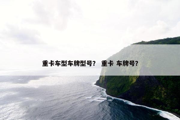 重卡车型车牌型号？ 重卡 车牌号？