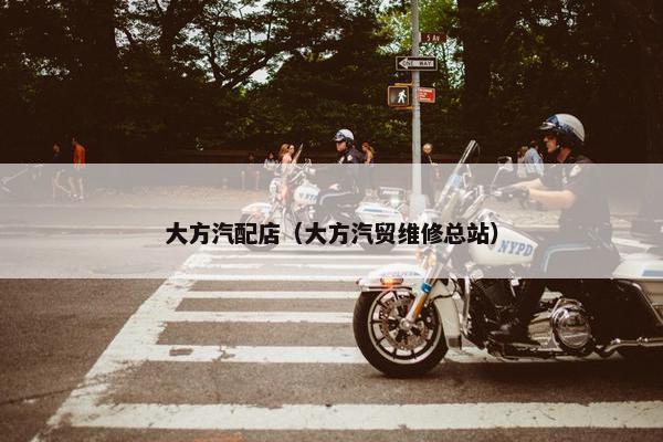 大方汽配店（大方汽贸维修总站）