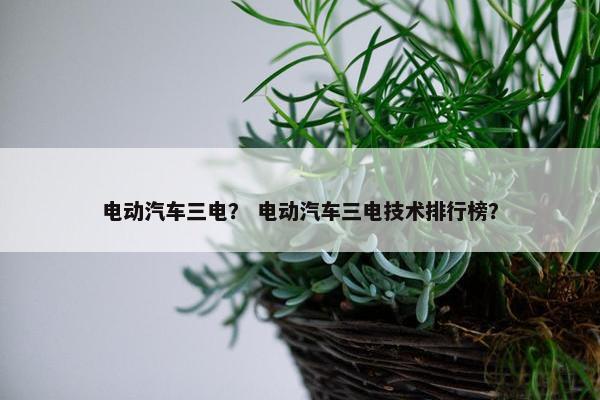电动汽车三电？ 电动汽车三电技术排行榜？