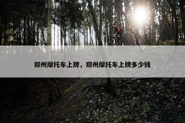 郑州摩托车上牌，郑州摩托车上牌多少钱