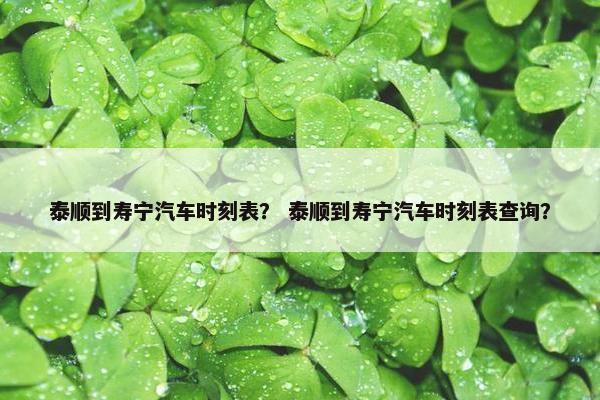 泰顺到寿宁汽车时刻表？ 泰顺到寿宁汽车时刻表查询？