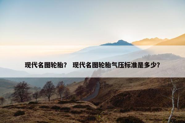 现代名图轮胎？ 现代名图轮胎气压标准是多少？