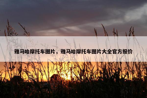 雅马哈摩托车图片，雅马哈摩托车图片大全官方报价