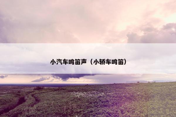 小汽车鸣笛声（小轿车鸣笛）