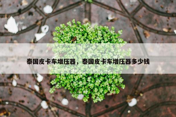 泰国皮卡车增压器，泰国皮卡车增压器多少钱