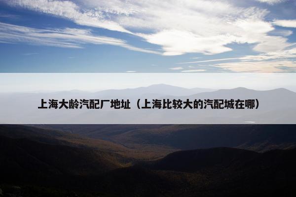 上海大龄汽配厂地址（上海比较大的汽配城在哪）