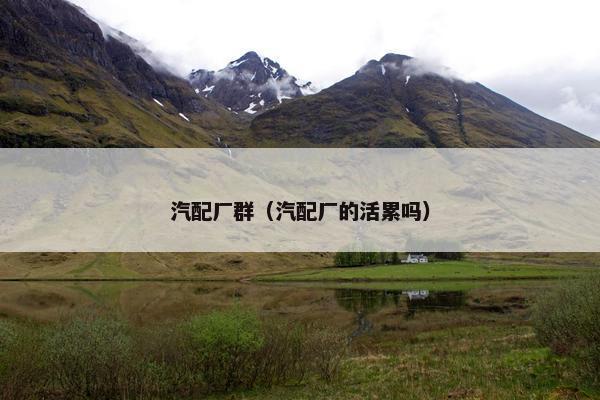 汽配厂群（汽配厂的活累吗）