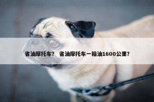 省油摩托车？ 省油摩托车一箱油1600公里？