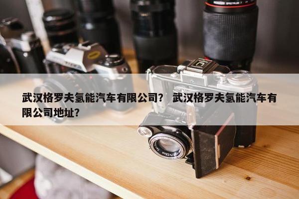 武汉格罗夫氢能汽车有限公司？ 武汉格罗夫氢能汽车有限公司地址？