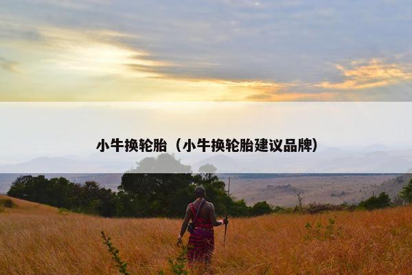 小牛换轮胎（小牛换轮胎建议品牌）