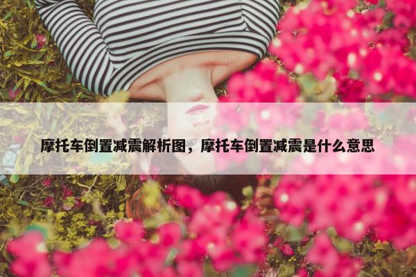 摩托车倒置减震解析图，摩托车倒置减震是什么意思