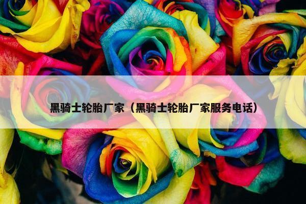 黑骑士轮胎厂家（黑骑士轮胎厂家服务电话）