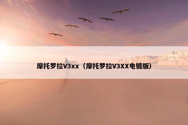摩托罗拉V3xx（摩托罗拉V3XX电镀版）