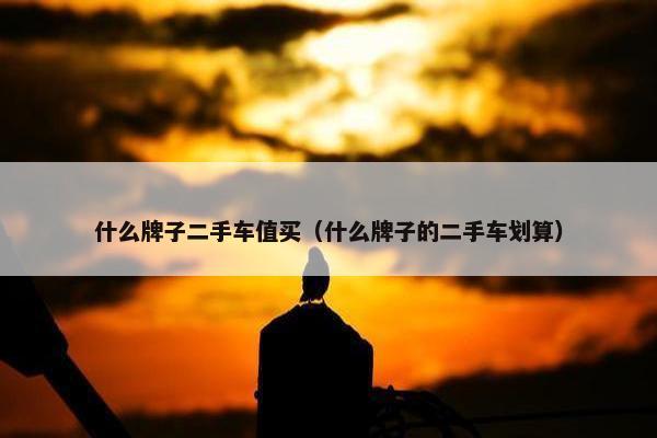 什么牌子二手车值买（什么牌子的二手车划算）